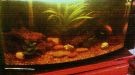Filename=trop.jpg
Filesize=603KB
Dimensions=1866x1042
Date added=May 21, 2012 trop.jpg
