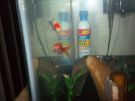 Filename=phpDAS40wPM.jpg
Filesize=77KB
Dimensions=600x450
Date added=Nov 12, 2011 phpDAS40wPM.jpg