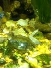 Filename=Ipod_pictures_298.JPG
Filesize=301KB
Dimensions=720x960
Date added=Mar 28, 2012 Ipod_pictures_298.JPG