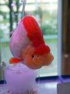 Filename=ranchu20.jpg
Filesize=161KB
Dimensions=768x1024
Date added=Aug 03, 2008 ranchu20.jpg